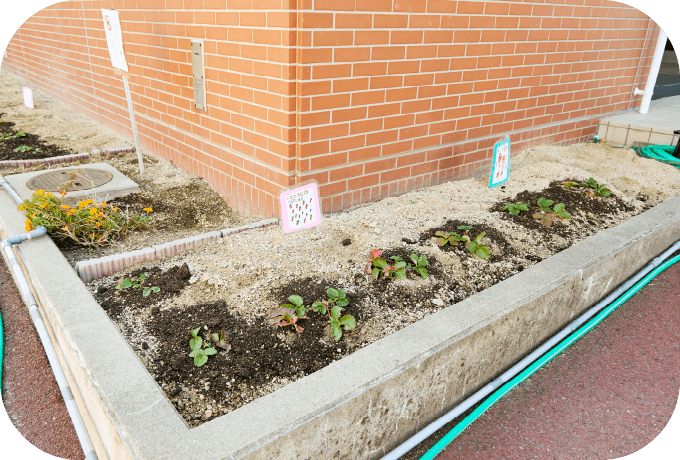 みんなの畑の写真